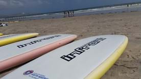 Surf Education Day